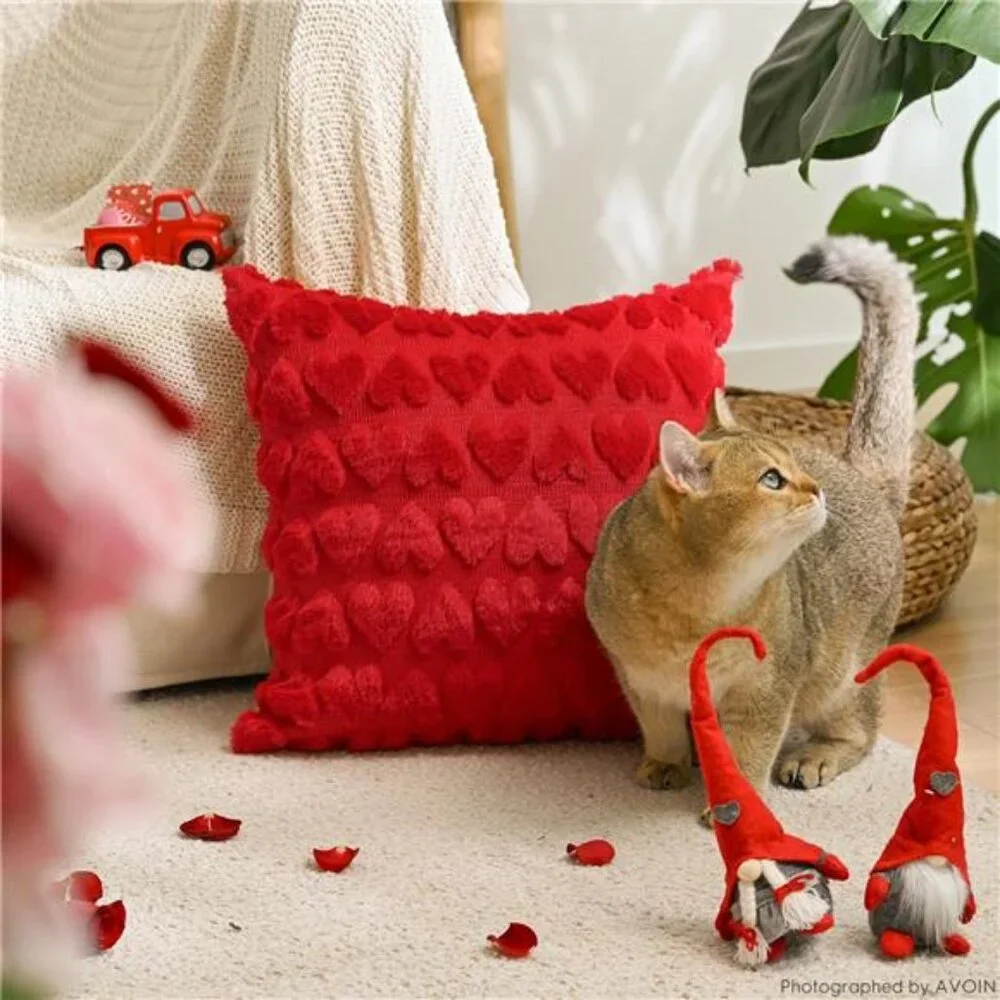 colorlife Valentine's Day Love Heart Throw Pillow Cover Set of 2, 18 x 18